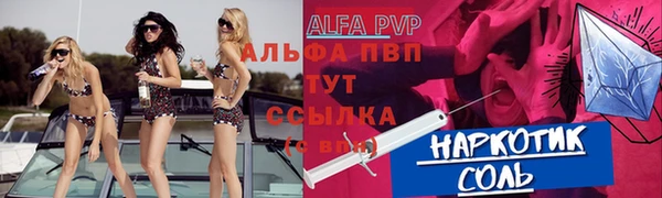 стаф Беломорск