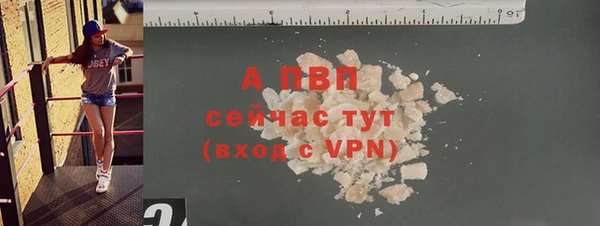 стаф Беломорск