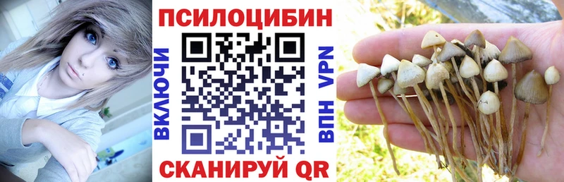 darknet состав  Топки  Галлюциногенные грибы Magic Shrooms 